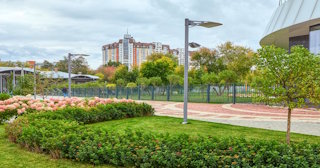 Профессиональное озеленение улиц в Хабаровске в октябре