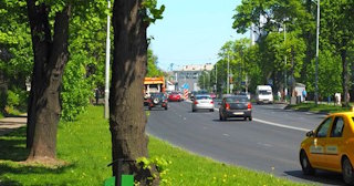 Посадка деревьев и кустарников в Хабаровске — стоимость от 1235 руб.
